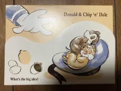 CUTE MODELカミオジャパン/チップとデール・ドナルドメモ帳/Disney