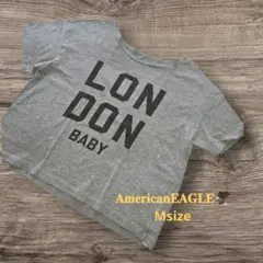 AMERICAN EAGLE レディース グレー TシャツMsize③gのサムネイル