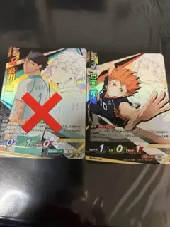 ハイキュー バボカ 頂 及川徹 日向翔陽