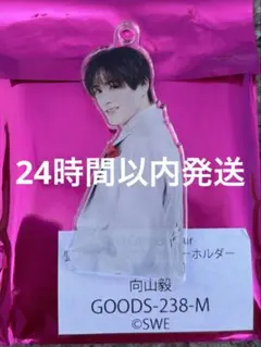 2026年最新】向山毅 アクスタの人気アイテム - メルカリ