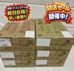 ブタメン 90個 6箱 食べ比べ まとめ売り　217④