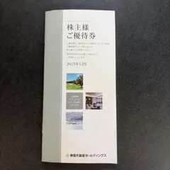 1000株以上5000株未満東急不動産ホールディングス株主様ご優待券
