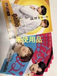 sexy zone 中島健人　菊池風磨　クリアファイル&クリアポスターセット