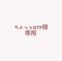 ちょっとGTP様専用ページ