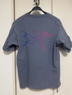 アークテリクス リザード Tシャツ ARC'TERYX lizard 【復刻】 - メルカリ