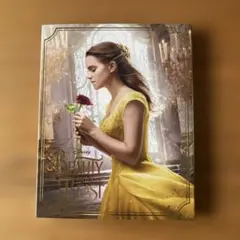 美女と野獣 MovieNEX('17米)〈2枚組〉　DVD Blu-ray