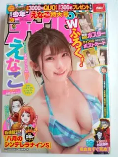 【えなこ 週刊少年チャンピオン・美品】両面BIGポスター、サイン入りポストカード