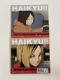 HAIKYUU!! Kozume Kenma 一番くじ 色紙2枚セット