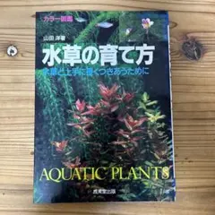 Item thumbnail for item aeb58b55-dcda-4db6-9322-d626116cb105