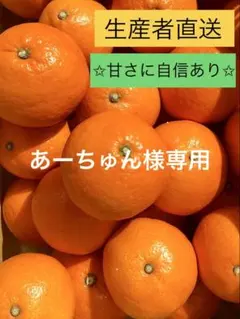 あーちゅん様専用です。