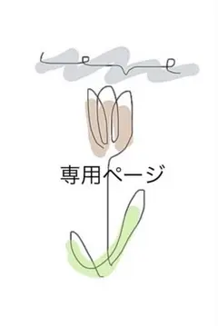 ゆきぴ様 リクエスト 2点 まとめ商品