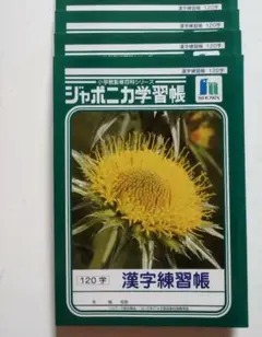 ジャポニカ学習帳　漢字練習帳　120文字　4冊セット