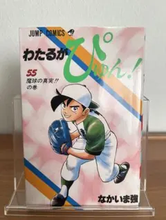 2026年最新】わたるがぴゅん！の人気アイテム - メルカリ