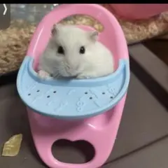 Item thumbnail for item 348ffc9e-b1e2-42b4-a450-75b29ea5f52f