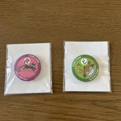 ジブリパーク　ピンバッジ 2個セット