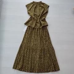 新品　anySIS　セットアップ
