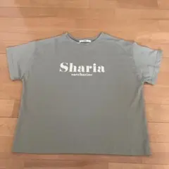 Item thumbnail for item 09d55567-148b-492a-8d10-b376ebef6d06