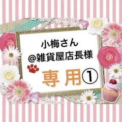専用①