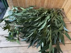 kusu＊kusu様 リクエスト 3点 まとめ商品