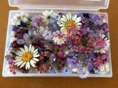 もりの様専用商品❤️ 小花のドライフラワー詰合せ 紫陽花ひな祭りルナ