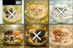 【361】CK様パネル　犬