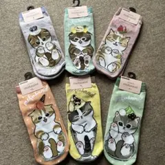 モフサンド　mofusand 靴下　6点セット　新作　ソックス　新品　パステル