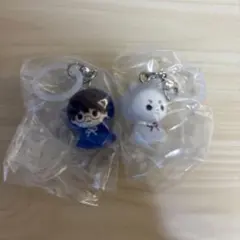 銀魂　めじるしアクセサリー2 新八 定春