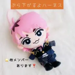 ⭕️即購入可/すのチルぶら下がらないシリーズ BIGぬいぐるみ♡紛失防止ハーネスのサムネイル