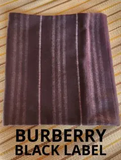 Item thumbnail for item b37fece1-f611-418f-946e-ee28f6d87b39