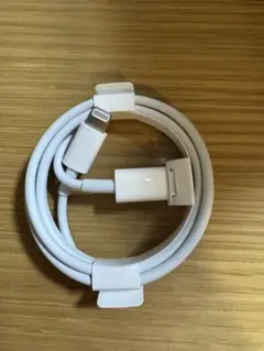【Apple】USB-C - Lightningケーブル①