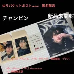 straykids ATE 限定 デジパ    Mini Album ATE