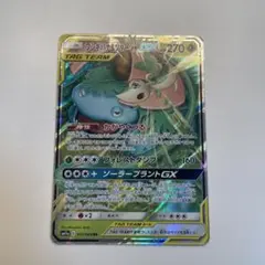 フシギバナ&ツタージャGX 001/064 RR