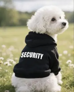 【新品】SHEIN ペット服 犬 トレーナー パーカー Mサイズ