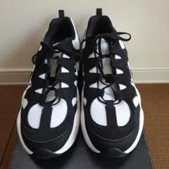 ナイキ　スニーカー29センチ　未使用　箱なし