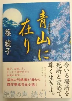 青山に在り