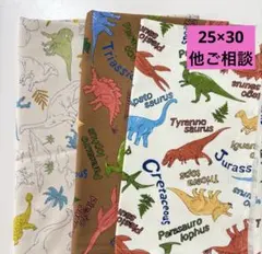 Item thumbnail for item b8c88f3b-7660-49cd-a533-def548e13257