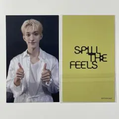 SEVENTEEN ドギョム TSUTAYA SPILL THE FEELS
