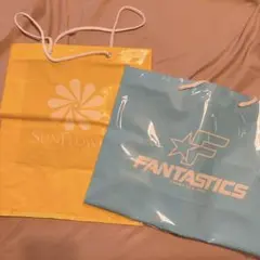 FANTASTICS ビニールバッグ 2枚セット