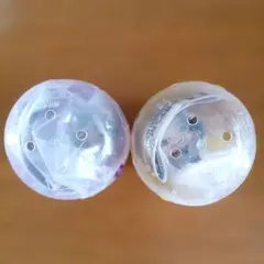 おねむたん 尾形百之助 鯉登音之進