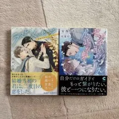 ＢＬ文庫 ２冊セット