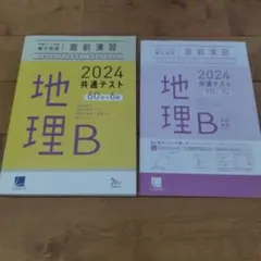 2024 共通テスト対策 実力完成 直前演習 地理Bのサムネイル