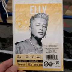 JSB LAND ~FOREVER~ELLY 御楽印2枚セット 6/27 東京