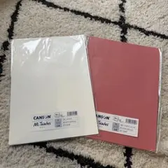 Item thumbnail for item 3453c18a-1e47-40cb-abdb-61bc3fb7ea4c