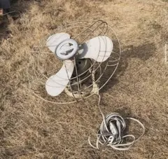 Item thumbnail for item c530a6ac-e499-4e2d-8483-ab276e6ef5f3