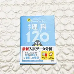 Item thumbnail for item 93a9fd07-408d-4c97-8de1-01f3f1647f3e