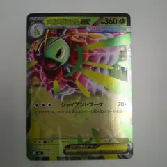 メガメガニウムex ミラー