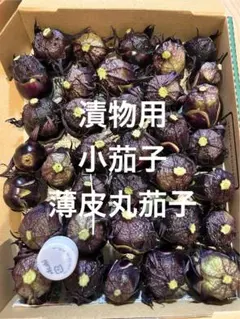 山形県産　薄皮丸茄子　漬物用小茄子　コンパクトBOXいっぱいのサムネイル