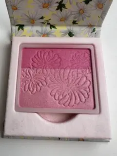 ポール&ジョー 猫の限定ケースとプレストブラッシュ03