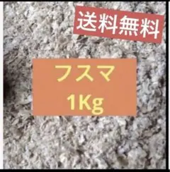 Item thumbnail for item 52c9e87c-9205-4e88-9549-093618c04d03