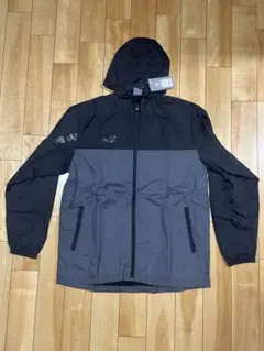 Item thumbnail for item 16d75693-5418-43ff-92be-a1c59b7a028d